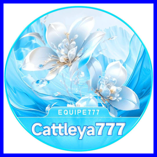 Imagem promocional da CATTLEYA777 mostrando a plataforma e suas vantagens